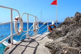 jiuyou.com-海湾者未来青训体系逐渐完善，海湾技术